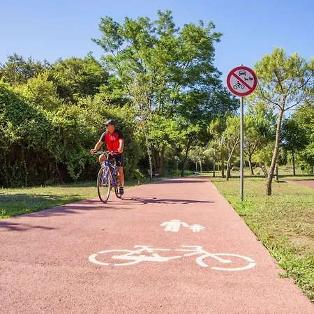 Quarto em Acomodações Particulares Casa Da Cerveira