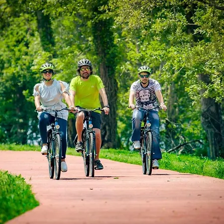 Casa Da Cerveira Privat bolig