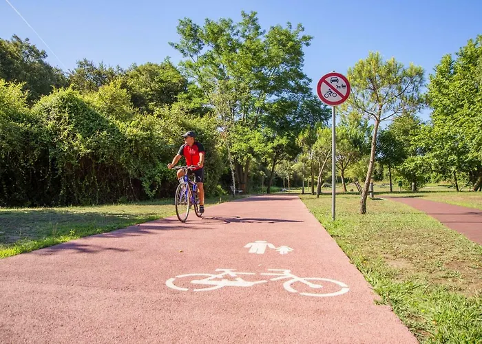 Quarto em Acomodações Particulares Casa Da Cerveira